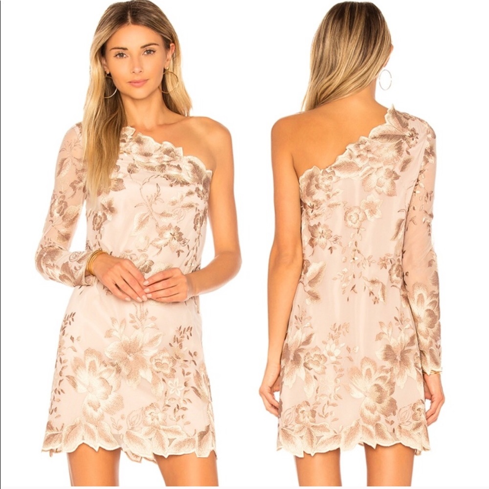 Free people one shoulder embroidered lace dress